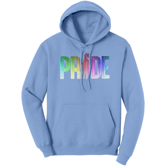 Native American Pride - LGBTQ Hoodie
