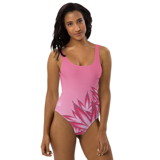 Shades of Pink One-Piece Swimsuit